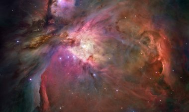 The Magnificent Universe of Nebulae: Cosmic Clouds Where Stars Are Born and Die